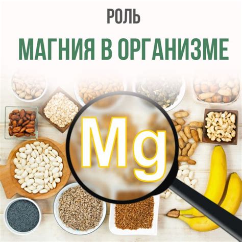 Роль магния в организме