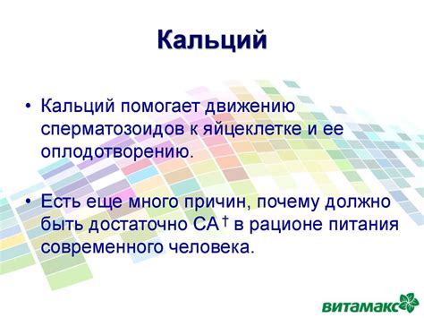 Роль магния в усвоении кальция