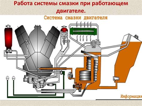 Роль масла на оперении