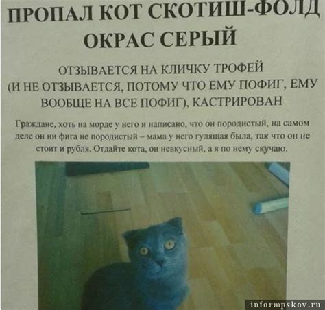 Роль матери для кошки при отдаче котят