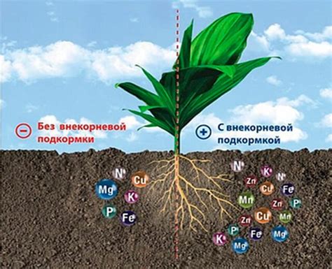 Роль микроэлементов в процессе разбавления