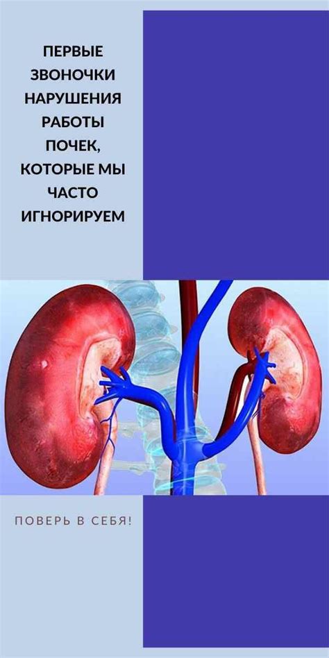 Роль нарушения работы почек в развитии отеков