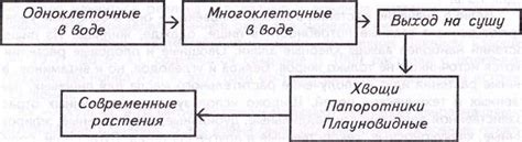 Роль низших растений в биосфере