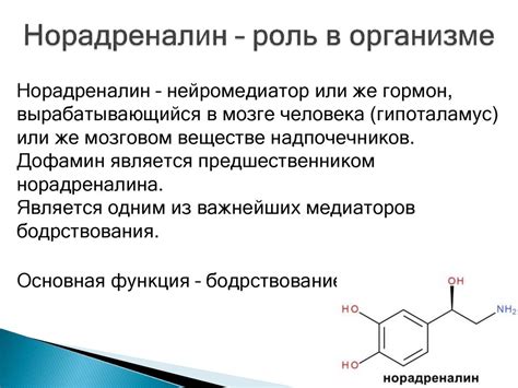 Роль норадреналина