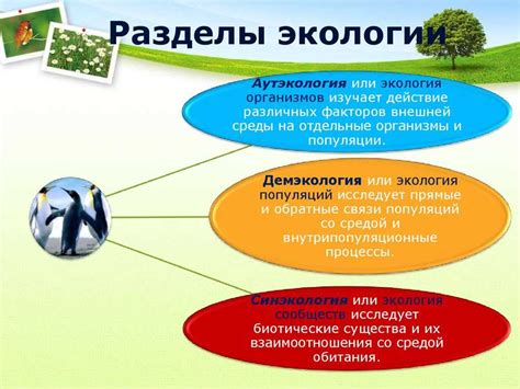 Роль общества в сохранении жуков: важность осведомленности и сотрудничества