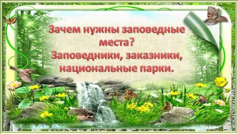 Роль океанариума в сохранении природы