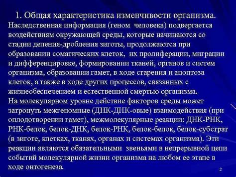 Роль окружающей среды в формировании сексуальной ориентации