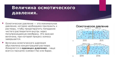 Роль осмотического давления в механизме испарения через листья