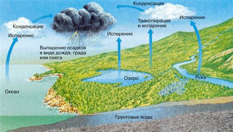 Роль паров воды в образовании следа