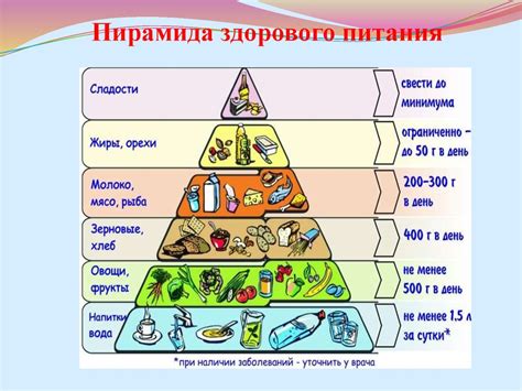 Роль питания в нашей жизни