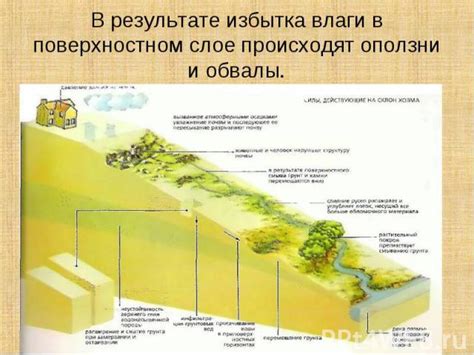 Роль питания в поверхностном плавании леща