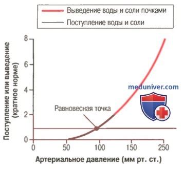 Роль питания в уровне артериального давления