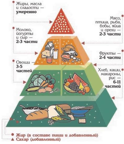 Роль питания в формировании запаха мочи