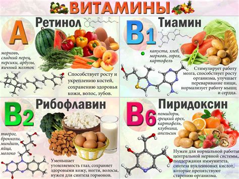 Роль питания и витаминов