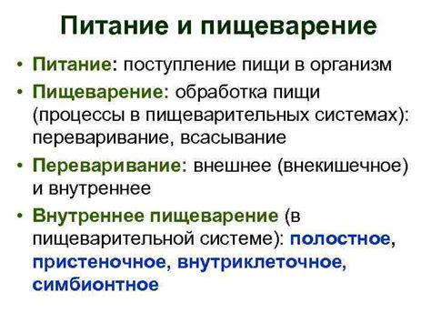 Роль пищи в повышении уровня диоксина перед прохождением теста