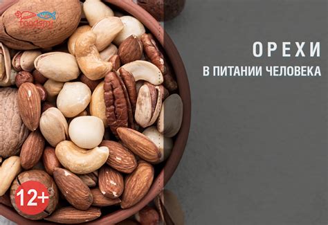 Роль потребления орехов и семечек в питании