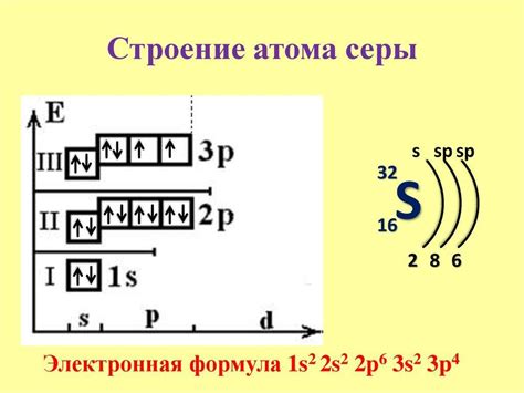 Роль протонов и нейтронов