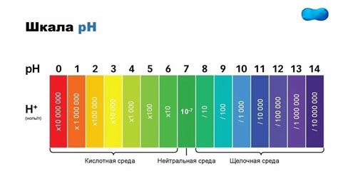 Роль растений в изменении pH дистиллированной воды