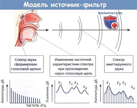 Роль резонанса полостей гортани и поддержания звука