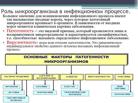 Роль ротавируса в развитии эпидемий