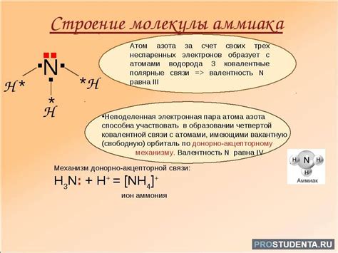 Роль связей алкоголя и аммиака