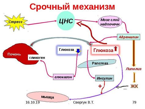 Роль сна в регуляции глюкозы