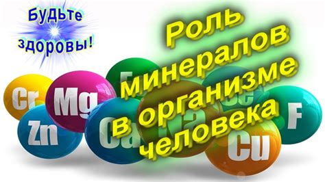 Роль солей и минералов в предотвращении промерзания