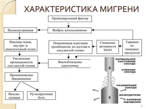 Роль сосудистых факторов в повышении давления