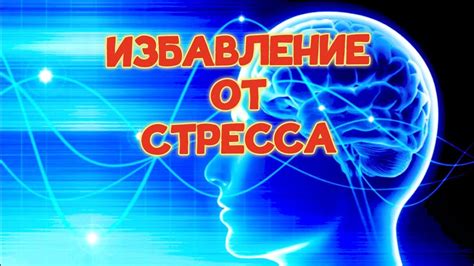 Роль стресса в возникновении нервного состояния