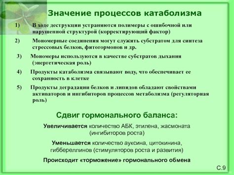 Роль стресса в нарушении гормонального баланса