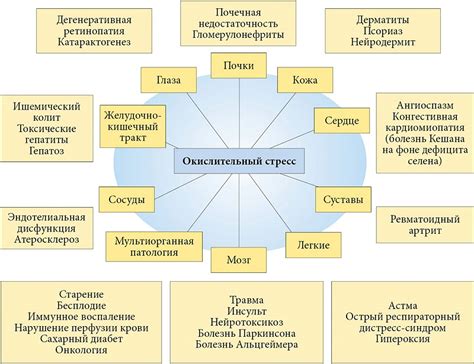 Роль стресса в ослаблении