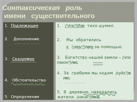 Роль существительных в предложении