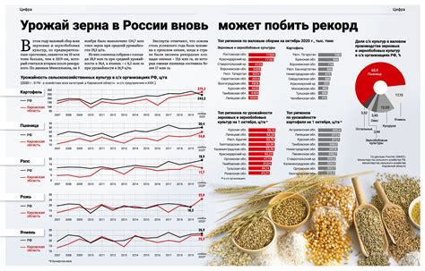 Роль технологий в увеличении урожайности садовых культур