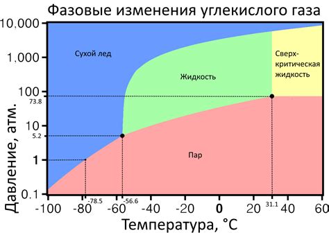 Роль углекислого газа