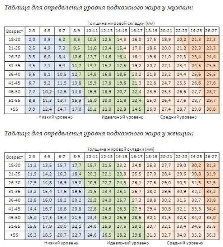 Роль уровня жира в организме