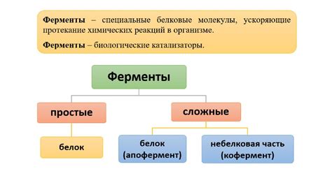 Роль ферментов в возникновении горечи