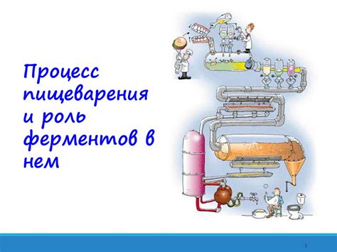 Роль ферментов в процессе усвоения молока