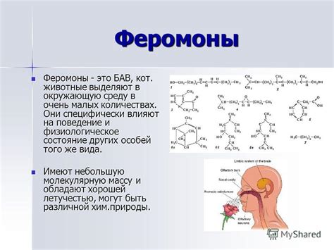 Роль феромонов