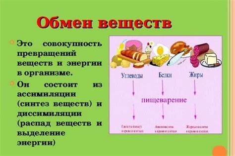 Роль физической активности в улучшении эмоционального состояния