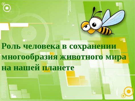 Роль человека в сохранении скворечника