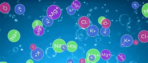 Роль электролитов для организма