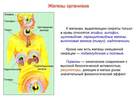 Роль эндокринной системы в различной структуре тела