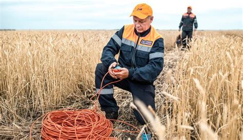 Роль эхолокации в охоте и поиске пищи