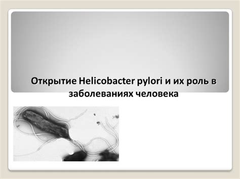 Роль Helicobacter pylori в изменении веса человека