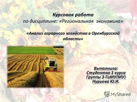 Россельхозбанк завтра: принципы, перспективы, услуги для аграрного сектора