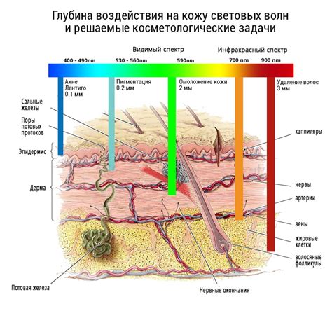 Руководство по использованию александритового лазера