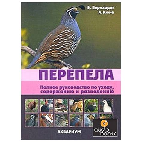 Руководство по содержанию и уходу дома для змеи