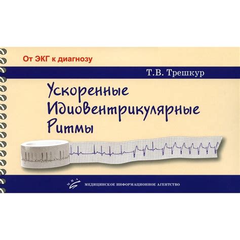 Рутина и особенности жизненного ритма