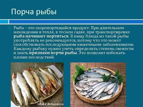 Рыба: скоропортящийся продукт