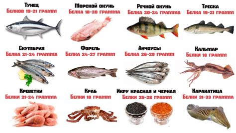 Рыба и морепродукты: источник белка и важных микроэлементов